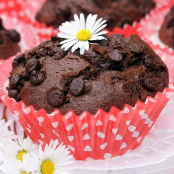 Muffins tout chocolat